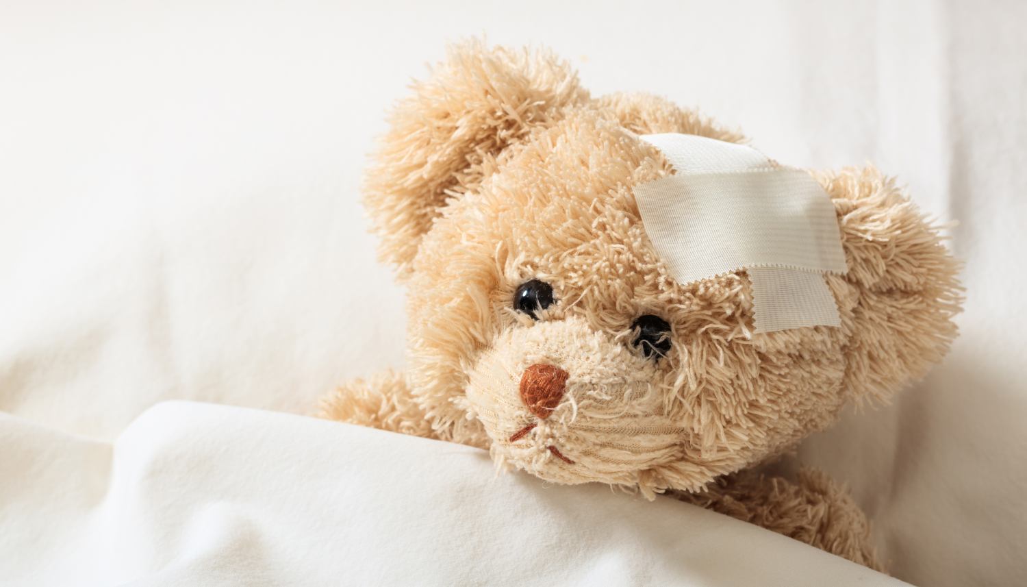 orsetto viene curato con un cerotto